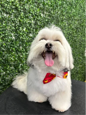 WhatsApp Image 2025-10-22 at 15.14.45 (1)