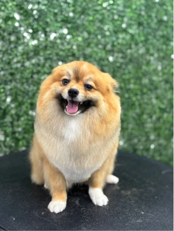 WhatsApp Image 2025-10-22 at 15.14.45 (4)