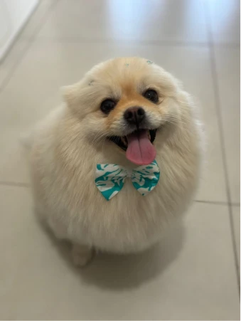 WhatsApp Image 2025-10-22 at 15.14.45