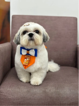 WhatsApp Image 2025-11-18 at 14.32.35