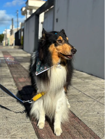 WhatsApp Image 2025-11-18 at 14.32.36 (2)