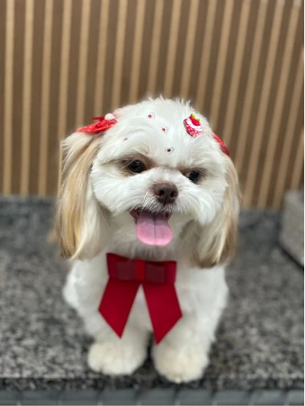 WhatsApp Image 2025-11-18 at 14.32.37 (2)