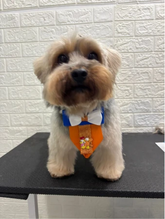 WhatsApp Image 2025-11-18 at 14.32.40