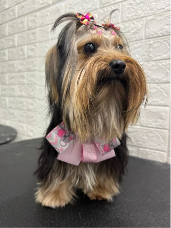 WhatsApp Image 2025-11-18 at 14.32.48 (1)