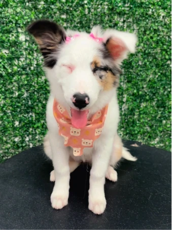 WhatsApp Image 2025-11-18 at 14.32.48 (2)