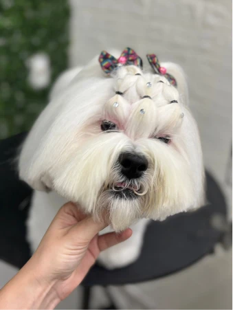 WhatsApp Image 2025-11-18 at 14.32.49 (1)