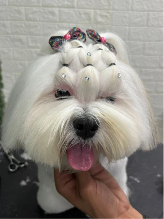 WhatsApp Image 2025-11-18 at 14.32.52