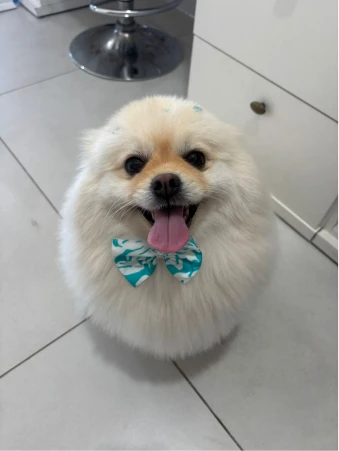 WhatsApp Image 2025-11-18 at 14.32.53