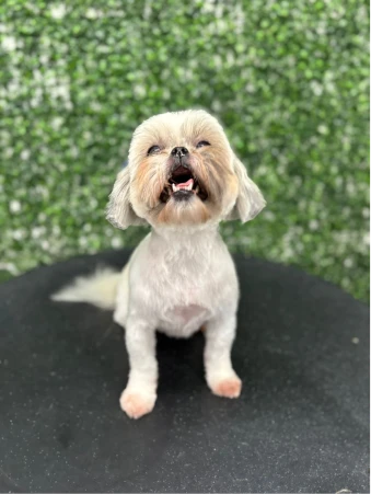 WhatsApp Image 2025-11-18 at 14.32.55