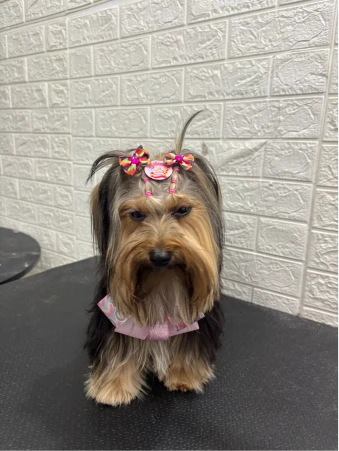 WhatsApp Image 2025-11-18 at 14.33.03 (1)