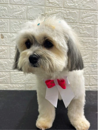 WhatsApp Image 2025-11-18 at 14.33.04 (1)